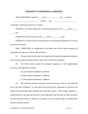 Amendment to Premarital Agreement - Blank Fillable Template | Fill Out ...