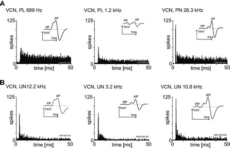 Post-Stimulus Time Histogram 的图像结果