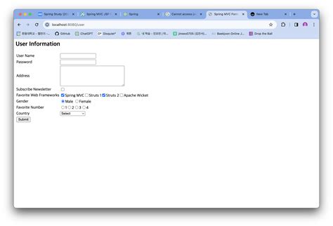 Spring MVC Form Text Field 的图像结果