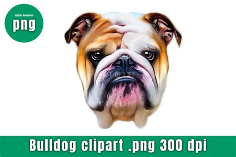 Bulldog Head Clip Art Graphic by thanaphat.sk · Creative Fabrica