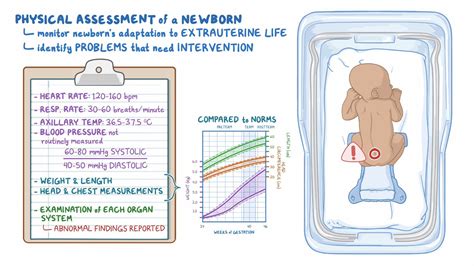 Normal Room Temperature For Newborn In Winter - Dibujos Cute Para Imprimir