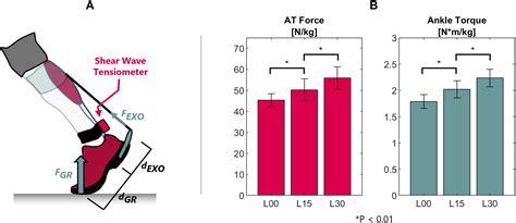 Modulation of Achilles tendon force with load carriage and exosuit assistance | Science Robotics