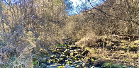 El gran drama del río Rigat