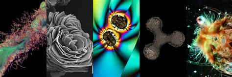 2022 ZEISS Microscopy Image Contest
