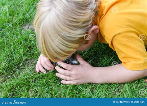 Creative Learning 的图像结果