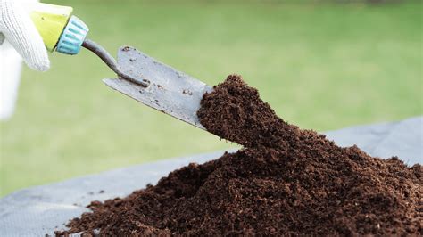 How to Make the Best DIY Seed Starting Soil for Your Garden? - The ...
