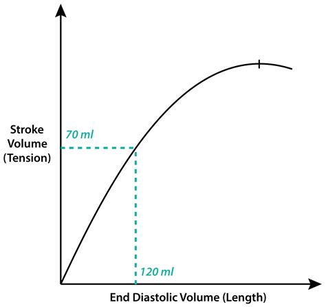 Starling Law Of Heart