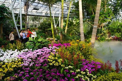 北京植物园秋色绚烂-中国植物园联盟