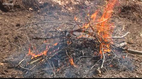 South Carolina Red Flag Fire alert wildfires statewide | wltx.com