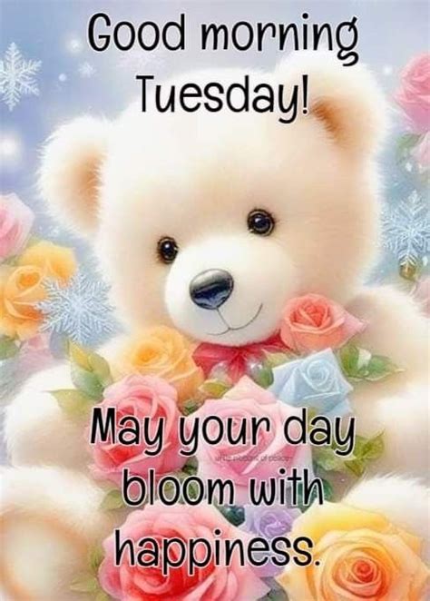 Pin by Austina on Used Grts Text | Good morning tuesday, Good morning ...