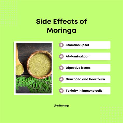 Moringa Powder: 20 Outstanding Health Benefits