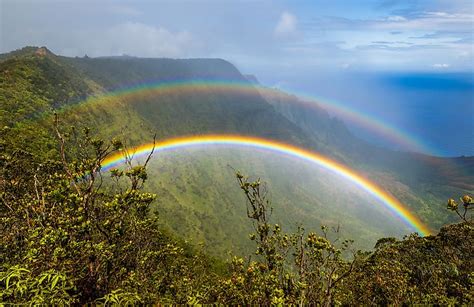Rainbow Nature 的图像结果