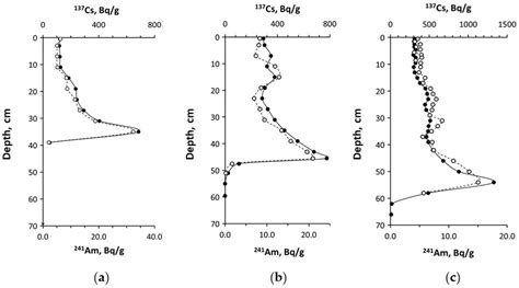 Reconstruction of the Long-Term Dynamics of Particulate Concentrations ...
