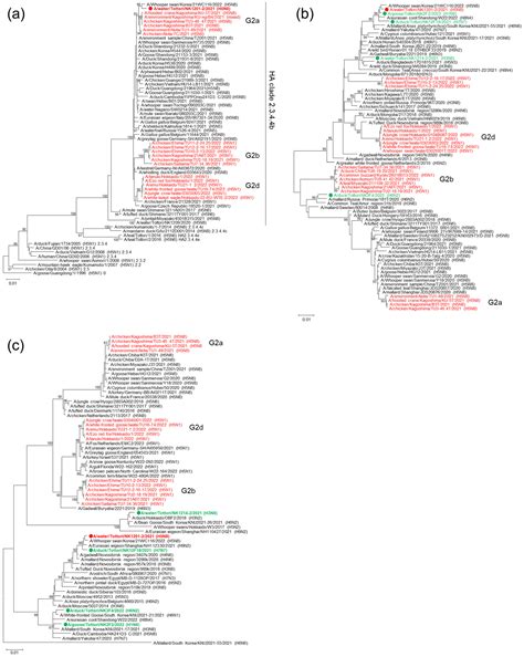 Novel Genotype of HA Clade 2.3.4.4b H5N8 Subtype High Pathogenicity ...