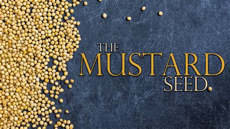 The Parable Of Mustard Seed The Mustard Seed And Yeast Parables New