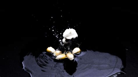 Image result for Exploding Pimple Popper