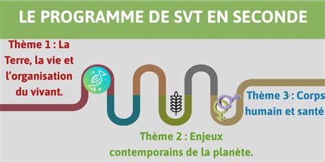 Programme SVT Seconde 的图像结果