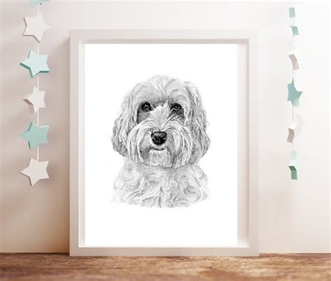 Image result for Cockapoo Dog Drawings