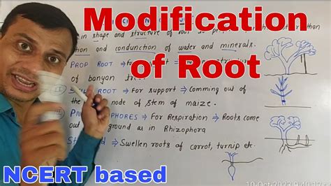 Image result for NEET Root Modification Questions
