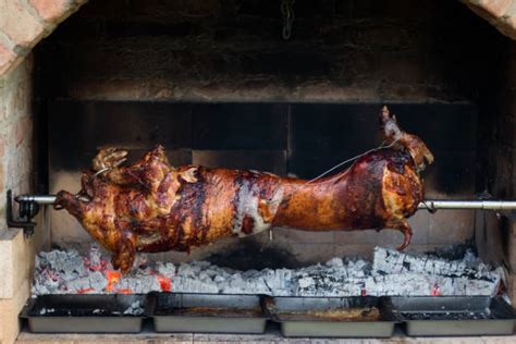 Image result for Hog Tying Tutorial