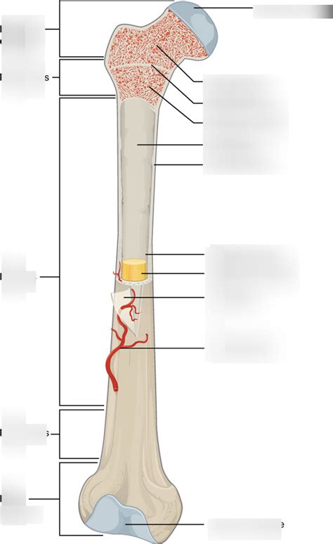 Image result for 92Y10a05 Practical Exercise