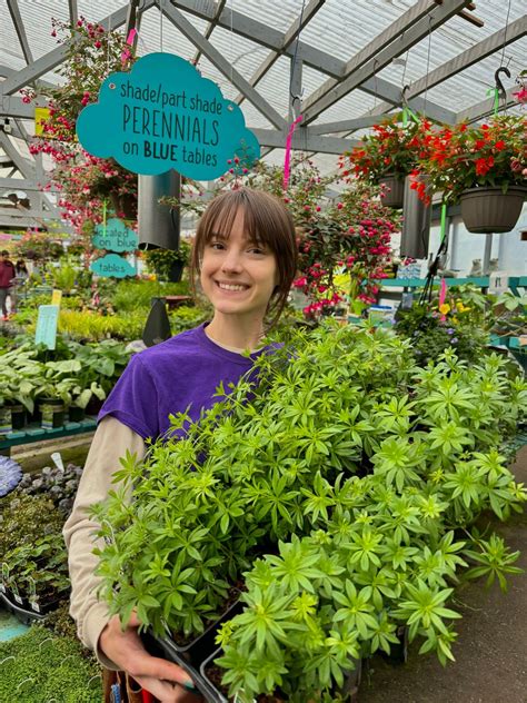 Lets Talk About Groundcovers with Larry Clark, 929 E Bakerview Rd ...