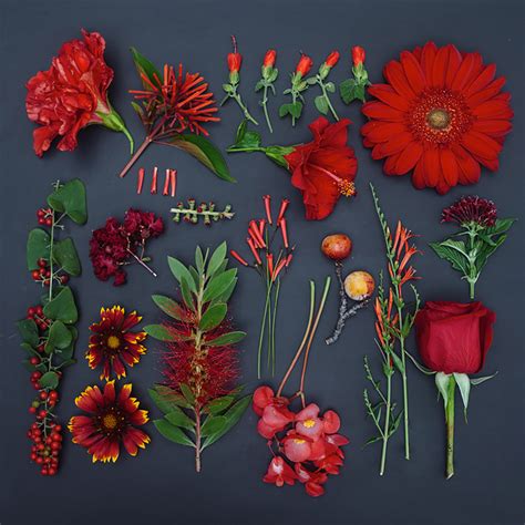 Image result for photography work of Emily Blincoe.