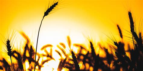 Image result for Drupal Posts