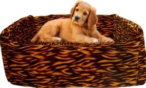 Amit Brothers AB58 S Pet Bed Price in India - Buy Amit Brothers AB58 S ...