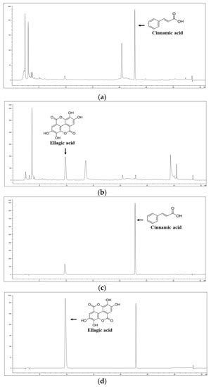 Cinnamomum cassia and Rosa laevigata Mixture Improves Benign Prostatic ...
