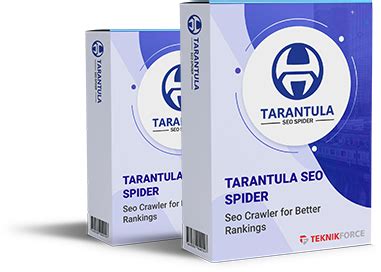 Tarantula SEO Spider - Bundle Package