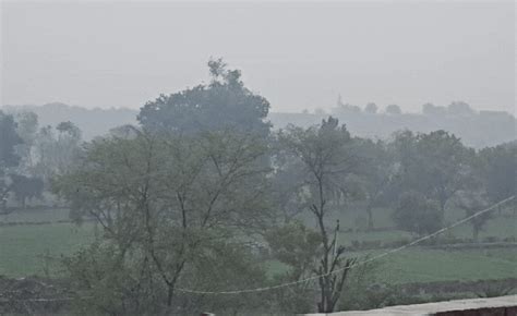 Rajasthan Rain: राजस्थान में बरिश के साथ ओलों का डबल अटैक, किसानों की ...