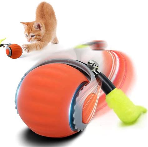 Cat Toys - Buy Cat Toys Online at Best Prices In India | Flipkart.com