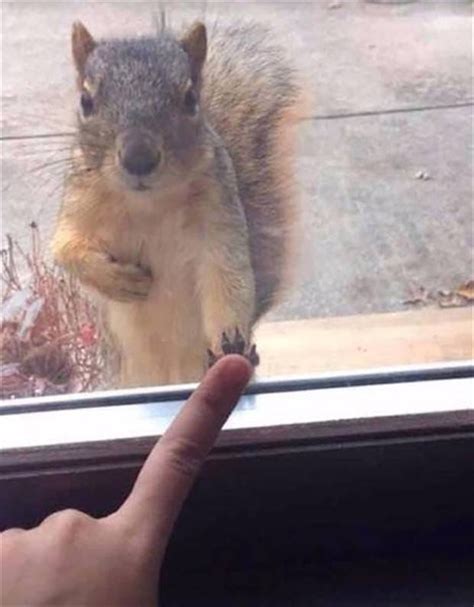 Hobson Lane (@hobs@mstdn.social) - Mastodon 🐘