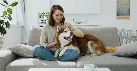 Image result for Dogs Making Humans Laugh