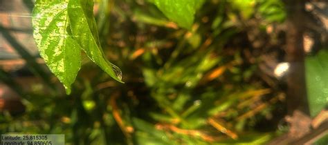 Value of water: an essay by Romathang of Little Flower School, Phungro ...