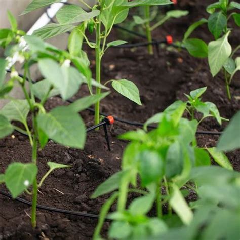 Drip Irrigation Pipe - Inline Drip Irrigation Pipes Manufacturer from Pune