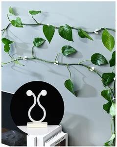 vitzie 30 pcs Plant Wall Climbing Fixing Clip Plant Fixer Self-Adhesive ...