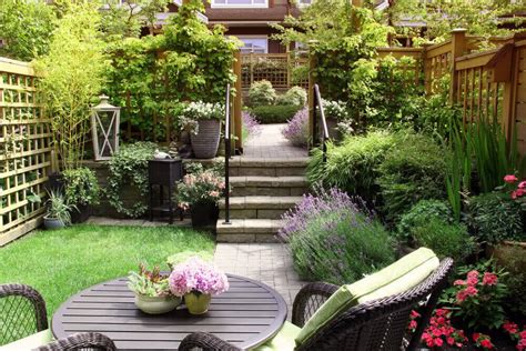 How to Create Stunning Basement Gardens and Backyards? – Ugaoo