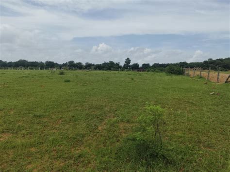 Agricultural/Farm Land for Sale in Kandukuru, Hyderabad - by SVS PROPERTIES