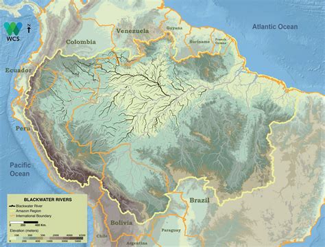 Amazon River Map