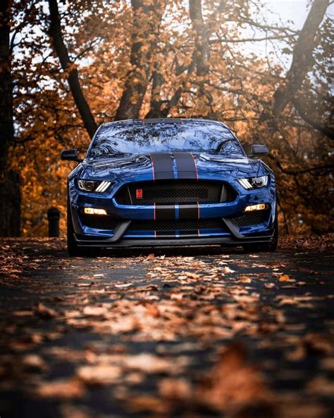 Download Mighty Elegance: Ford Mustang Gt350r On The Move Wallpaper | Wallpapers.com