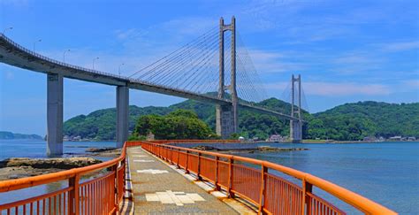Image result for Visual Identity Justification Example