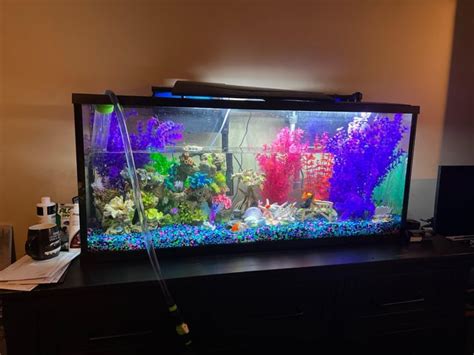 Python Aquarium System 的图像结果