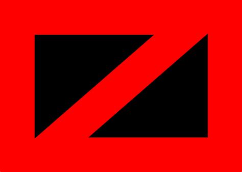 US Flag Libertarian Socialist Design 的图像结果