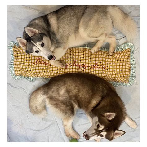 Discover Chumbak Products, Reviews & Information | LBB