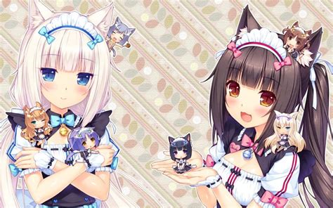 About | Nekopara Amino En Español Amino