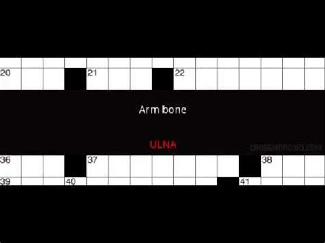 Arm bone Crossword Clue Solution - YouTube