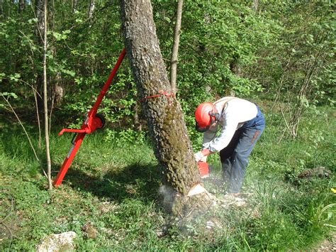 Image result for Tree Felling Tools Equipment