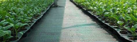 Weed Mat Ground Cover 100 GSM - Heavy-Duty Weed Suppression for Fields